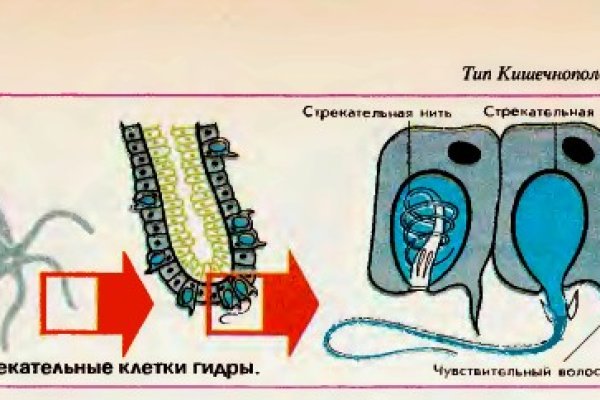 Что продает маркетплейс кракен