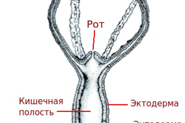 Кракен ссылка на тор официальная